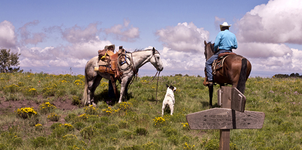 crest trail new mexico horseback